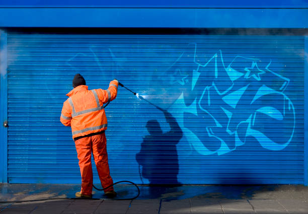 Best Garage Pressure Washing  in Overlea, MD